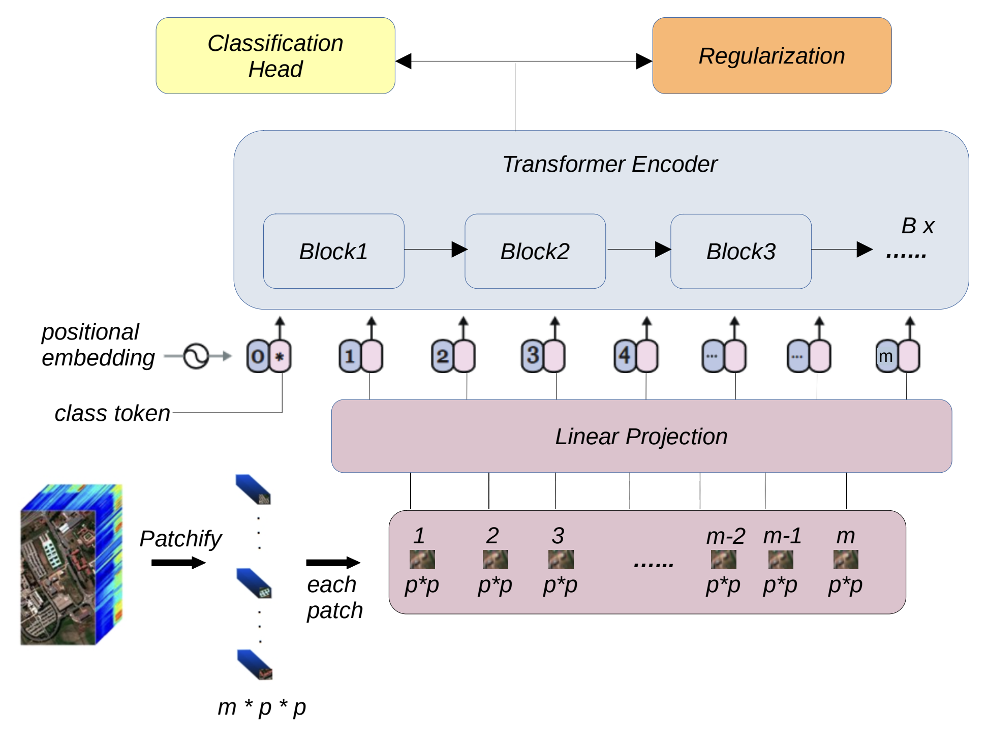 Locality-Aware Hyperspectral Classification