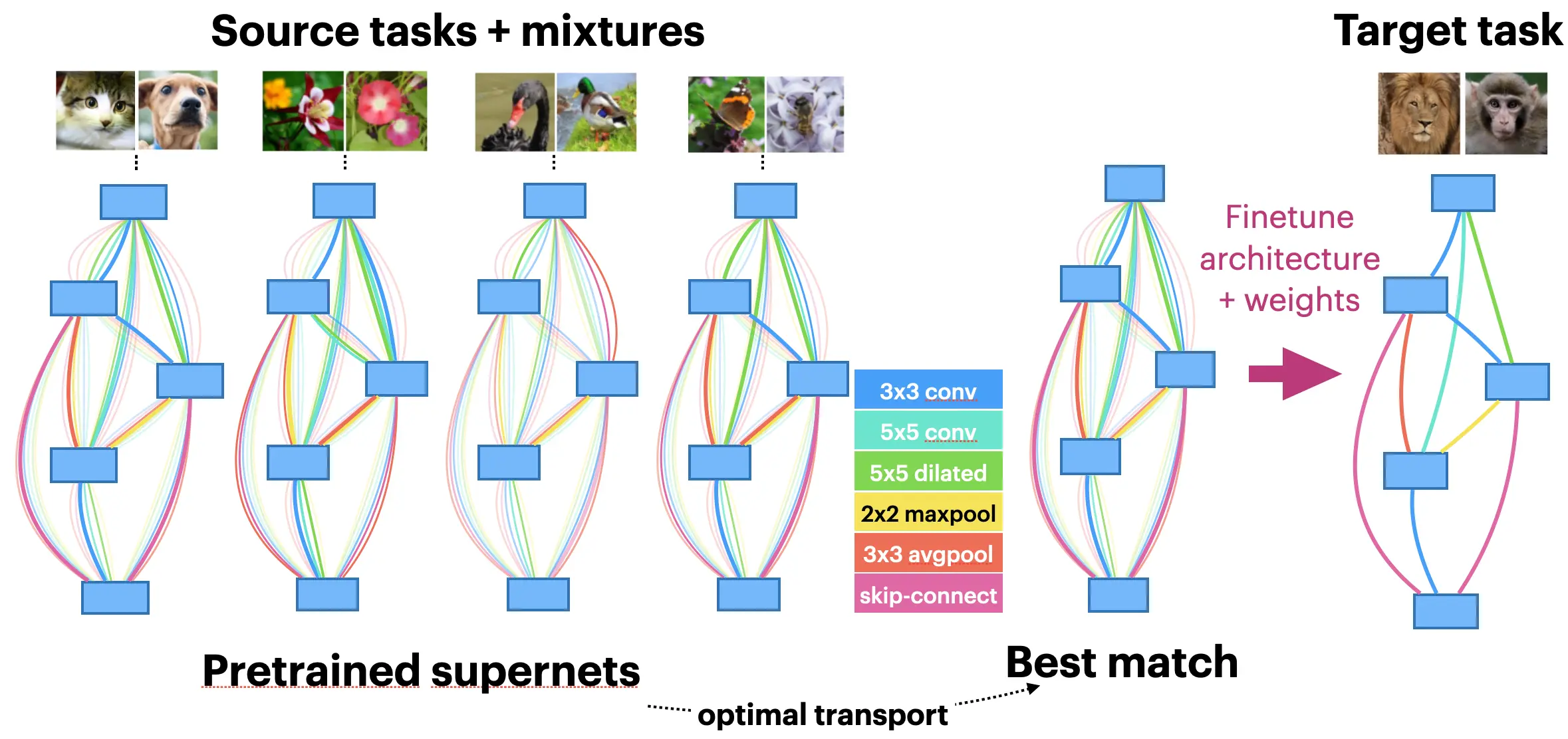 Robust and Efficient Transfer Learning via Supernet Transfer in Warm-Started Neural Architecture Search